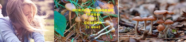 амфетамин Алексин