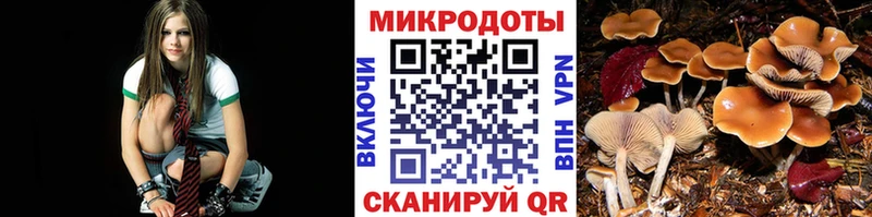 Галлюциногенные грибы мухоморы  где найти   Тара 